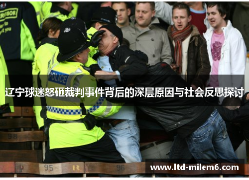 辽宁球迷怒砸裁判事件背后的深层原因与社会反思探讨