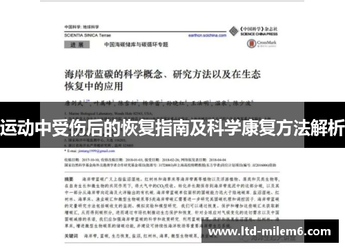 运动中受伤后的恢复指南及科学康复方法解析